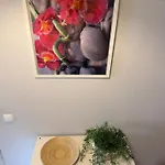Encantador Com Piscina Aquecida Appartement